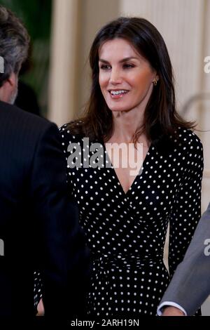 Madrid, Spanien. Januar 2020. Spanische Handball-Nationalmannschaft besuchen Königin Letizia und König Felipe am Palast Zarzuela in Madrid, Spanien am 28. Januar 2020. Credit: Jimmy Olsen/Media Punch ***No Spain***/Alamy Live News Stockfoto