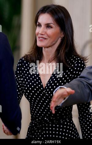 Madrid, Spanien. Januar 2020. Spanische Handball-Nationalmannschaft besuchen Königin Letizia und König Felipe am Palast Zarzuela in Madrid, Spanien am 28. Januar 2020. Credit: Jimmy Olsen/Media Punch ***No Spain***/Alamy Live News Stockfoto