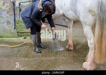 Die beliebtesten Videos von Tag: schwanz reiten Die beliebtesten Videos von Tag: schwanz reiten