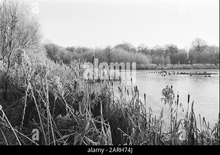 Winter Landscape Datum: 19. Dezember 1978 Schlüsselwörter: Landschaften Stockfoto