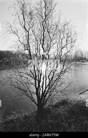 Winter Landscape Datum: 19. Dezember 1978 Schlüsselwörter: Landschaften Stockfoto