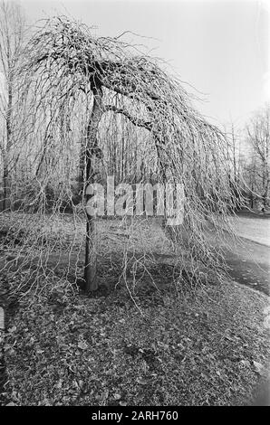 Winter Landscape Datum: 19. Dezember 1978 Schlüsselwörter: Landschaften Stockfoto