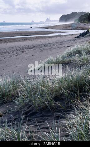 Blick am Oakura Beach an einem hell bewölkten Tag in der Region Taranaki in Neuseeland Stockfoto