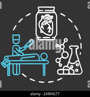 Symbol für das Kreidekonzept des medizinischen Museums. Anatomieausstellung. Körperzerschnitt und Organuntersuchung. Chemische Forschung. Wissenschaftliche Exposition Idee. Vektor i. Stock Vektor