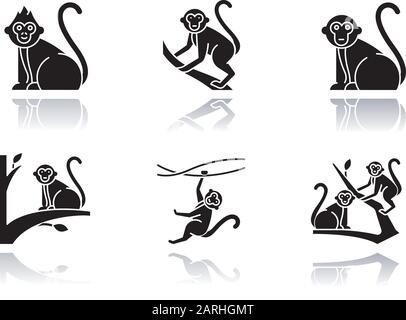 Affen in wildem Schlagschatten schwarze Glyph-Ikonen gesetzt. Tropisches Landtier, Säugetier auf Bäumen. Exotische indonesische Tierwelt entdecken. Primat sitzt. Ba Stock Vektor
