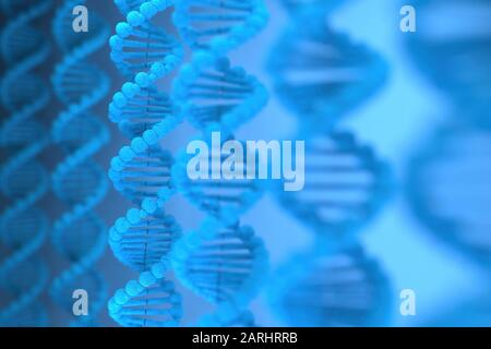 3D-Rendering der DNA-Struktur (Desoxyribonukleinsäure), 3D-Abbildung. Stockfoto