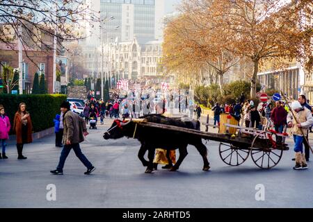 Georgien, Tiflis, - 8. Januar 2020 Prozession durch die zentralen Straßen von Tiflis am Weihnachtstag (Alilo). Stockfoto