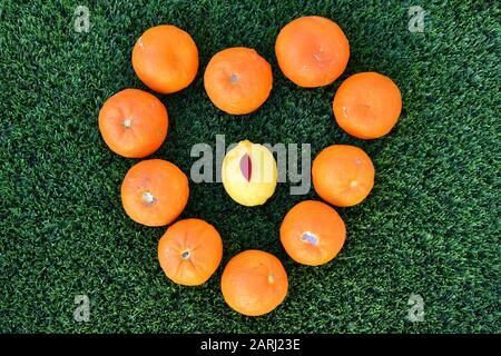 Herz aus natürlichen Orangen mit einer Zitrone in der Mitte auf grünem Gras gebildet Stockfoto