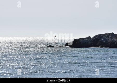 Windsurfer, die durch die Lichtreflexe der Sonne ein silbernes Meer erfurchen Stockfoto