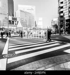 Tokio, Japan - 1. Januar 2010: Fußgänger, die die Straße im Herzen des Ginza-Viertels in Tokio überqueren. Ginza Kreuzung am Nachmittag. Stockfoto
