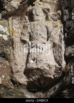 Angel Corbel mit Einschussloch, St Dogmaels Abbey, Pembrokeshire, Wales, 15. Jahrhundert Stockfoto