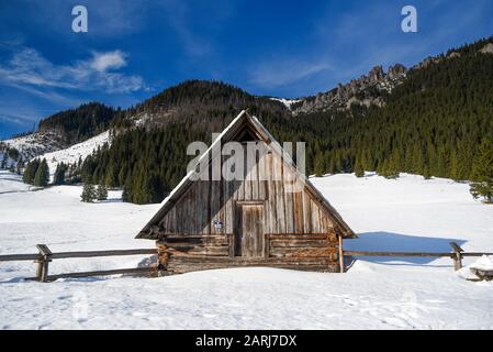 Kleine alte Holzhütte in den Bergen im Winter. Stockfoto