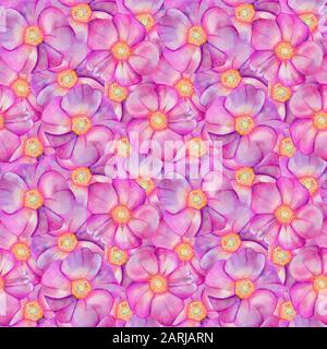 Nahtloses Muster mit Rosenhüften. Aquarell rosa Blumen isoliert auf purpurem Hintergrund. Handgezeichnete Hochzeitskarten mit Designelementen. Rosa Canina, Rose Hi Stockfoto