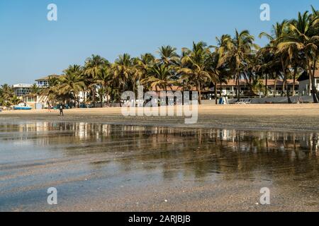 Palmen am Strand von Kotu spiegeln sich bei Ebbe im flachen Wasser, Kotu, Kanifing, Serekunda, Gambia, Westafrika Kotu Beach Palmen wider Stockfoto