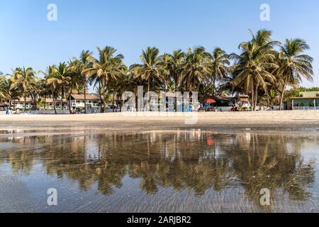 Palmen am Strand von Kotu spiegeln sich bei Ebbe im flachen Wasser, Kotu, Kanifing, Serekunda, Gambia, Westafrika Kotu Beach Palmen wider Stockfoto