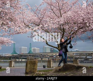 Frau, die selfie mit Kirschbäumen in Waterfront Park, Portland, Oregon, nimmt. Stockfoto