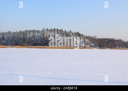 Wunderschöne Winterlandschaft mit schneebedeckten Bäumen und dickem Eis an der Ostsee. Stockfoto