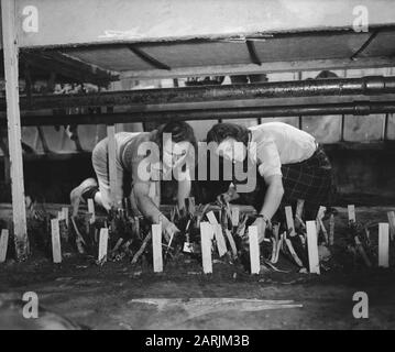 Gartenbauschule Huize te Lande Rijswijk Datum: 1. April 1946 Standort: Rijswijk, Zuid-Holland Stockfoto