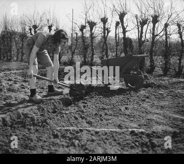 Gartenbauschule Huize te Lande Rijswijk Datum: 1. April 1946 Standort: Rijswijk, Zuid-Holland Stockfoto