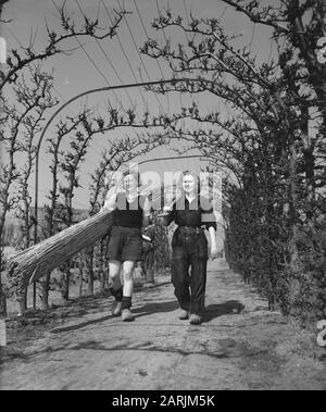 Gartenbauschule Huize te Lande te Rijswijk Datum: 1. april 1946 Standort: Rijswijk, Zuid-Holland Schlüsselwörter: Mädchen, Bildung, Schüler, Gartenbau Stockfoto