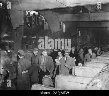 Hundeausstellung Datum: 13. April 1947 Schlagwörter: Hundeausstellung Stockfoto