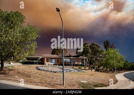 Orroral Valley, NSW, Buschfeuerstrauch über Theodore, Canberra, ACT. 28/01/20. Stockfoto