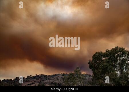 Orroral Valley, NSW, Buschfeuerstrauch über Theodore, Canberra, ACT. 28/01/20. Stockfoto