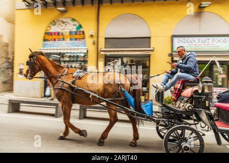 Italien, Sizilien, Provinz Palermo, Palermo. April 2019. Pferd und Kutsche, mit denen Touristen in Palermo fahren. Stockfoto