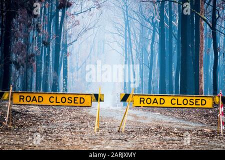 MoGo Bewohner flüchteten, als Buschfeuer die Südküste des NSW während der australischen Buschfeuer 2020, Mogo, New South Wales, Australien © Hugh Peterswald/Alamy hochwühlten Stockfoto