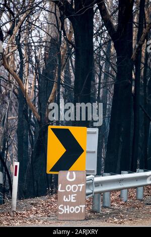 MoGo Bewohner flüchteten, als Buschfeuer die Südküste des NSW während der australischen Buschfeuer 2020, Mogo, New South Wales, Australien © Hugh Peterswald/Alamy hochwühlten Stockfoto