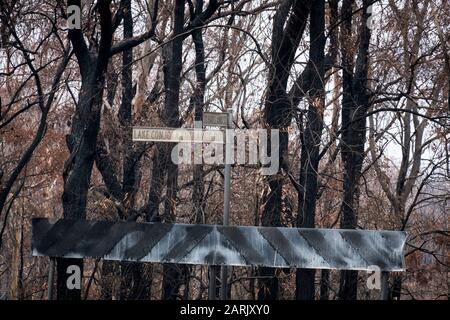 MoGo Bewohner flüchteten, als Buschfeuer die Südküste des NSW während der australischen Buschfeuer 2020, Mogo, New South Wales, Australien © Hugh Peterswald/Alamy hochwühlten Stockfoto