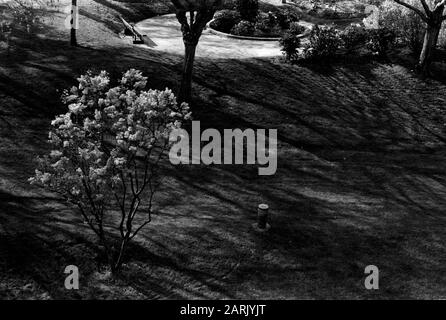 AJAXNETPHOTO. 2011. LOUVECIENNES, FRANKREICH. - PRIVATER GARTEN FÜR DIE BEWOHNER VON WOHNUNGEN IN EINER DOMÄNE AUF HÖHEN NORDÖSTLICH DES DORFZENTRUMS MIT BLICK AUF DIE SEINE; EINER VON VIELEN ORTEN IN DER GEGEND, DIE VON IMPRESSIONISTISCHEN MALERN DES 19. JAHRHUNDERTS WIE ALFRED SISLEY, CAMILLE PISSARRO, AUGUSTE RENOIR UND ANDEREN VOR DER MODERNEN NEUGESTALTUNG DER LANDSCHAFT BESUCHT WURDEN. FOTO: JONATHAN EASTLAND/AJAX REF:81109002 Stockfoto