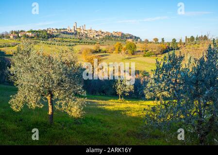 Blick auf die italienische Stadt San Gimignano, eine kleine ummauerte, mittelalterliche Bergstadt in der Toskana, die als Stadt der Schönen Türme bekannt ist. Toskanische Landschaft mit Hügeln Stockfoto