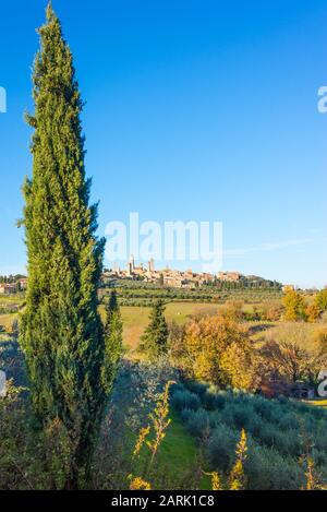 Blick auf die italienische Stadt San Gimignano, eine kleine ummauerte, mittelalterliche Bergstadt in der Toskana, die als Stadt der Schönen Türme bekannt ist. Toskanische Landschaft mit Hügeln Stockfoto