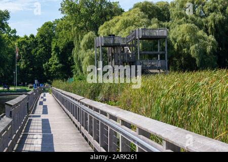 Öffentlicher Aussichtspunkt am Point Pelee National Park Boardwalk Mit Blick Auf Vast Marsh Stockfoto