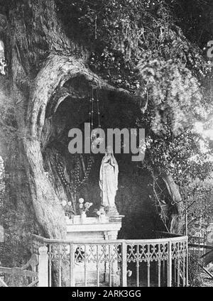 Schwerer Hohlbaum mit Innenkapelle//Datum: Undatierter Ort: La Haye De Routout (seine Nif.) Stichwörter: Bäume, Wälder, Botanische, Alleen, Nadelname: Yew Baccata Stockfoto