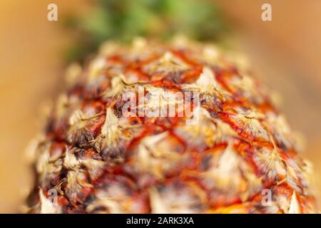 Nahaufnahme von Ananasbaumfrucht. Tropische Süßfrüchte. Stockfoto