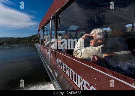 Eine Frau blickt aus der Seite eines Jetboots auf den Snake River in Idaho. Stockfoto