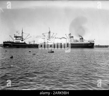 Whaler Willem Barendsz Datum: 30. September 1947 Schlagwörter: Schiffe Stockfoto