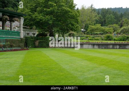 Die makellos gehaltenen Rasenflächen der Butchart Gardens in Victoria, BC Stockfoto