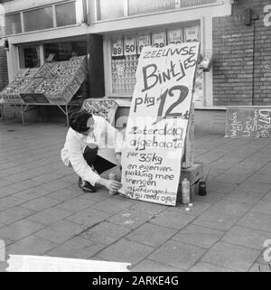 Zeeland bintjes, Rabattangebot Datum: 7. März 1964 Schlüsselwörter: Angebote Stockfoto