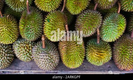 Große Gruppe Von Durian Fruit aus Indonesien Stockfoto