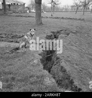 Erdrutsche in der belgischen Gemeinde Zichen-Zussen-Bolder, Datum der Absenkung: 5. April 1966 Stichwörter: Erstickung, Gemeinden Stockfoto