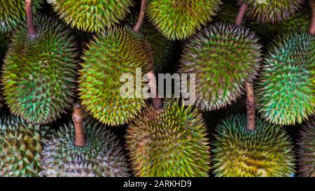 Große Gruppe Von Durian Fruit aus Indonesien Stockfoto