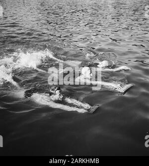 Schwimmtraining von Trainer Jan Stender Schwimmer mit Badetafeln Anmerkung: In der Mitte Hanny Termeulen. Richtig wahrscheinlich Nel van Vliet. Lage Pool Crailo Datum: 27. Juli 1948 Ort: Hilversum Schlagwörter: Sporttraining, Schwimmen Stockfoto