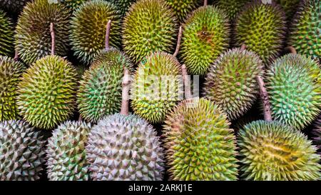 Große Gruppe Von Durian Fruit aus Indonesien Stockfoto