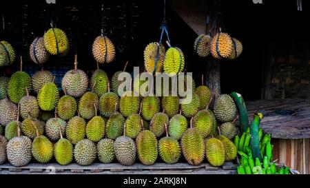 Große Gruppe Von Durian Fruit aus Indonesien Stockfoto