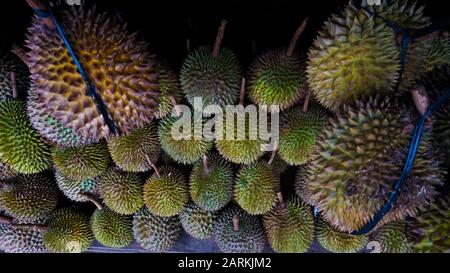 Große Gruppe Von Durian Fruit aus Indonesien Stockfoto