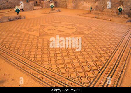 Mosaikboden mit Blatt- und Vogelmuster im Betsaal der alten Synagoge aus romanisch-syzantinischer Zeit im En Gedi-Antiquitäten-Nationalpark Stockfoto