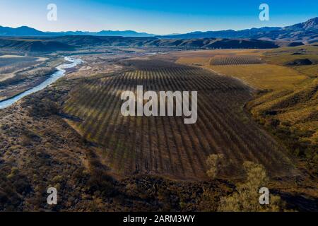 BAVISPE, SONORA. Luftbild der Ranch La Morita und des Flusses Bavispe, Landschaft an einem kalten Morgen, ist eine Moromona-Gemeinde in Bavispe, Sonora, Mexiko. Der Ort ist eine landwirtschaftliche Nutzfläche von Walnussbaum. (Foto: Luis Gutiérrez /) BAVISPE, SONORA. Vista aérea de rancho La Morita y el río Bavispe, paisaje durante una fria mañana, es una comunidad moromona en munizio de Bavispe, Sonora, Mexiko. El lugar es una Zona agricola de albol Nogal. Stockfoto